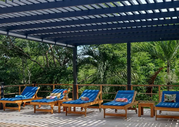 Casa Mimosa Buenavista *